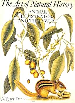 洋書 CLASSIC NATURAL HISTORY PRINTS MAMMALS 洋書 CLASSIC NATURAL HISTORY PRINTS MAMMALS Classic Natural